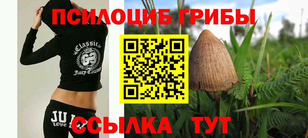 Галлюциногенные грибы мухоморы  Вход с VPN  Ирбит  закладка  Галлюциногенные грибы MAGIC MUSHROOMS 